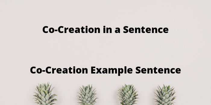 co-creation-in-a-sentence-use-co-creation-in-a-sentence-example