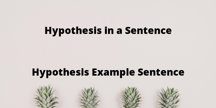 hypothesis in a sentence example