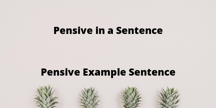 8-pensive-sentence-examples-and-meaning