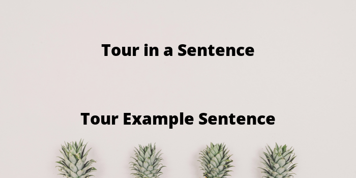 give tour in a sentence