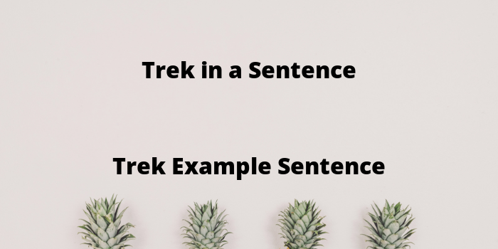 trek for in a sentence