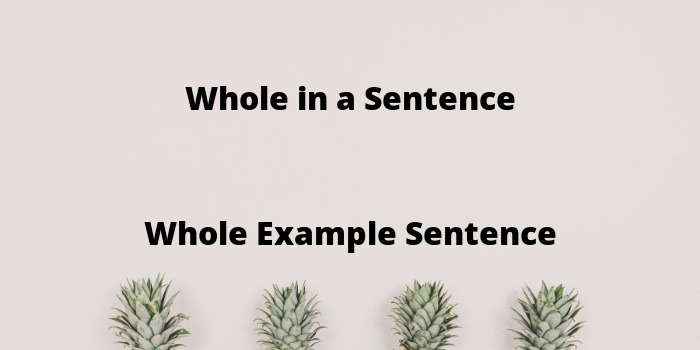 Whole In A Sentence Using Whole In A Sentence Example