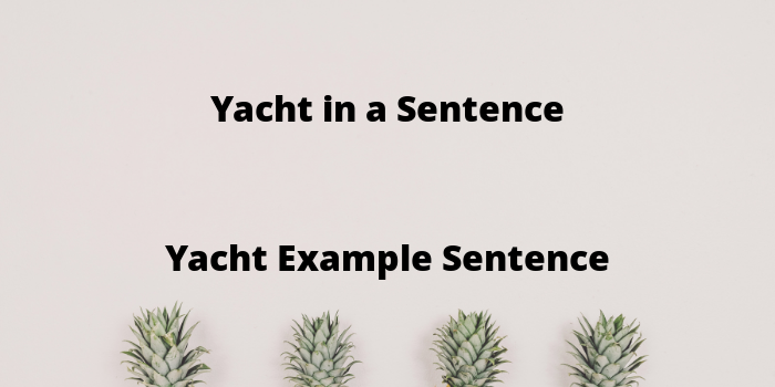yacht in sentence